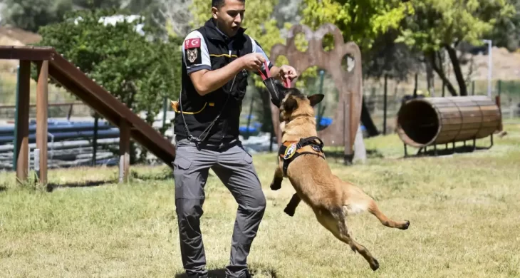 ABB’nin K9 ekipleri Başkent’te görev başında