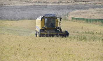 ABB’nin sertifikalı nohut tohumu desteği sonrası hasat başladı
