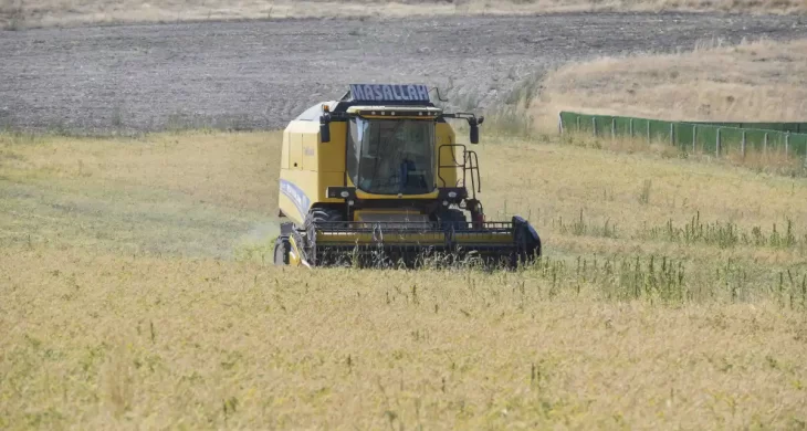 ABB’nin sertifikalı nohut tohumu desteği sonrası hasat başladı