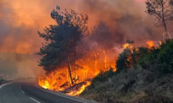 Antalya’da korkutan yangın: Zeytin ağaçları zarar gördü!