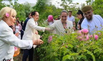 Ağlasun’da gül hasadı coşkusu: Safiye Soyman da katıldı