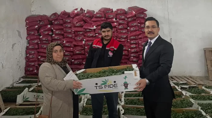 Akyaka’da çiftçilere  destek: 53 üreticiye %75 hibeli fide dağıtıldı