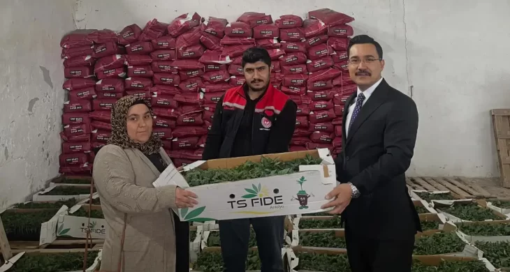 Akyaka’da çiftçilere  destek: 53 üreticiye %75 hibeli fide dağıtıldı