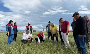 Akyaka’da zarar tespit çalışmaları titizlikle sürüyor