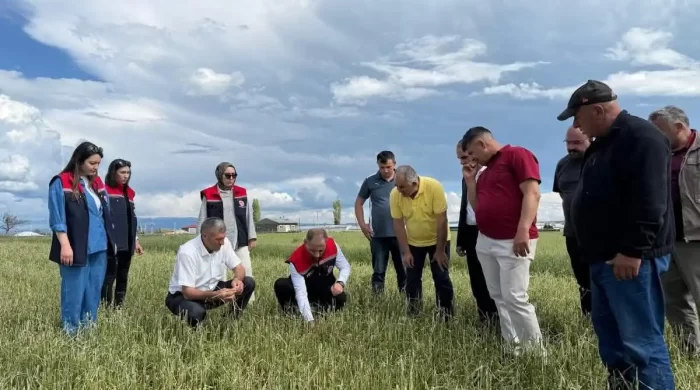 Akyaka’da zarar tespit çalışmaları titizlikle sürüyor