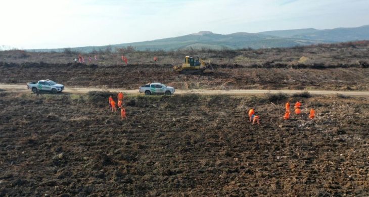 “Alev savaşçıları” bu kez yangın alanları yeniden yeşillendiriliyor