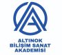 Altınok Bilişim Sanat Akademisi