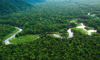Felakete doğru: Amazon’un yeşil nefesi tükeniyor