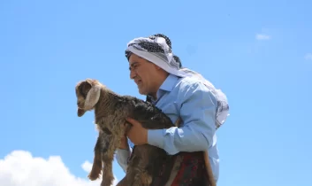 “Anne keçinin çığlığını duydu, taşların arasındaki oğlak’ı kurtardı”