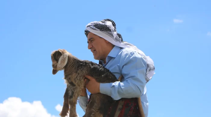 “Anne keçinin çığlığını duydu, taşların arasındaki oğlak’ı kurtardı”