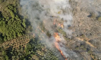 Antalya’da Orman yangını alarmı