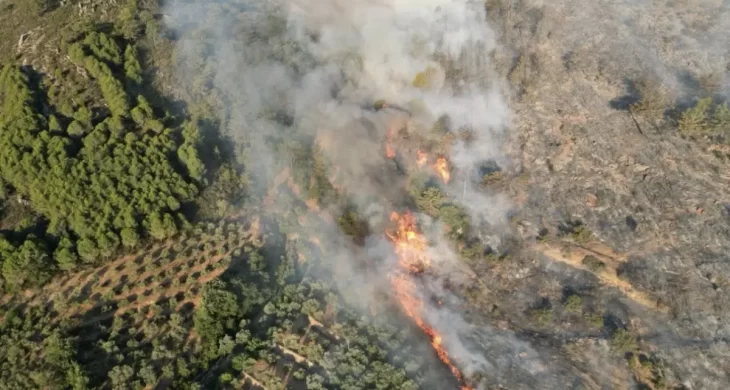 Antalya’da Orman yangını alarmı
