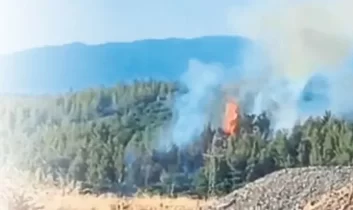 Antalya’da ormanları kundaklayan altı kişi gözaltına alındı