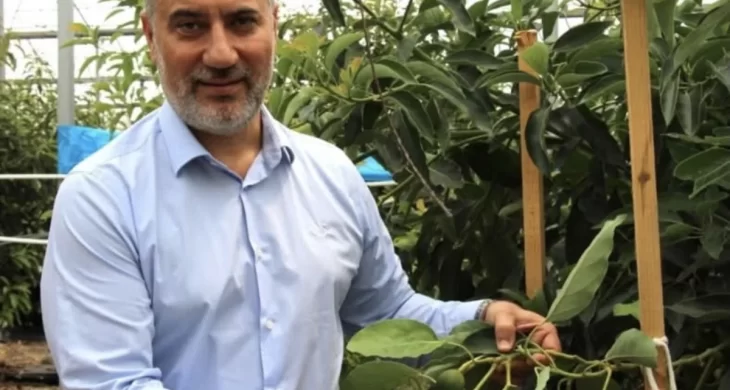 Antalya’da tropikal meyve üretimi yaygınlaşıyor
