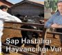 Şap Hastalığı Hayvancılığı Vurdu