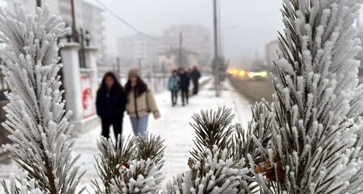 Ardahan’da dondurucu soğuk: Göle eksi 36’yı gördü