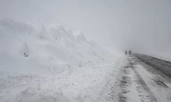 Ardahan’da çığ felaketi: İş makineleri kar altında