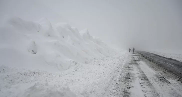 Ardahan’da çığ felaketi: İş makineleri kar altında