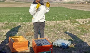 Halk Eğitim Merkezi Müdürlüğünden uygulamalı arıcılık kursu