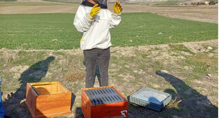 Halk Eğitim Merkezi Müdürlüğünden uygulamalı arıcılık kursu