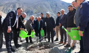 Artvin’de 450 zeytin fidanı toprakla buluştu