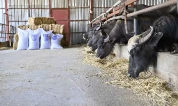 Ata Çiftliği’nde yapılan hasat kırsaldaki üreticiye ulaştırılıyor