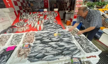 Av sezonu palamut bolluğuyla başladı