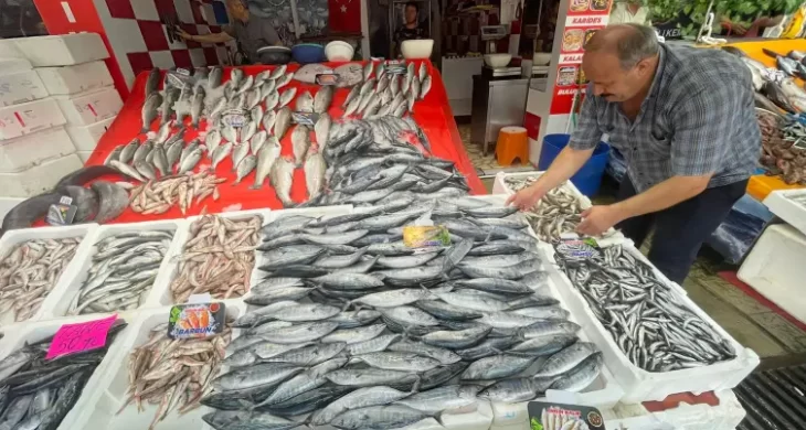 Av sezonu palamut bolluğuyla başladı