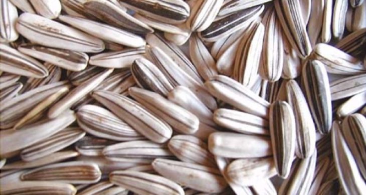 Ay çekirdeği kanseri önlüyor