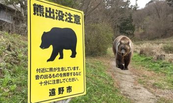 Japonya’da Belediyelere vahşi hayvanlara müdahale yetkisi