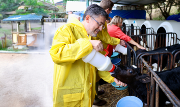 Türkiye’de Büyük ve Küçük Baş  Hayvan Sayısı Açıklandı