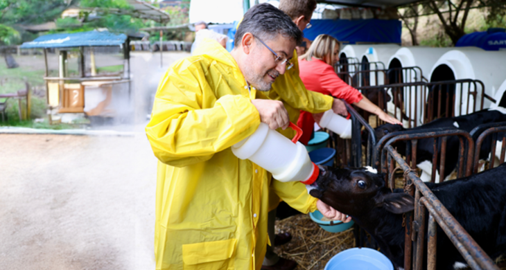 Türkiye’de Büyük ve Küçük Baş  Hayvan Sayısı Açıklandı