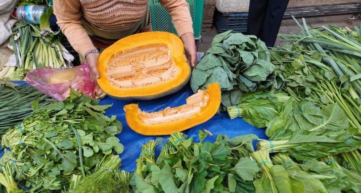 Aydın’da bal kabağı sezonu açıldı