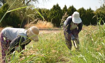 Uygulamalı eğitim programları BAÇEM’in kalitesini artırıyor