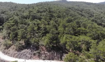 Balıkesir ve Kütahya’da ormanlara girişler yasaklandı