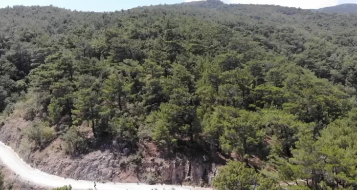 Balıkesir ve Kütahya’da ormanlara girişler yasaklandı