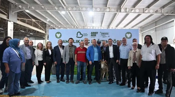 Balıkesir’de hayvancılığa destek damızlık koç dağıtımı