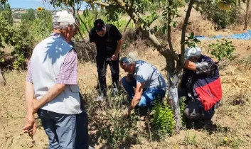 Balıkesir’de tarla faresine karşı uyarı