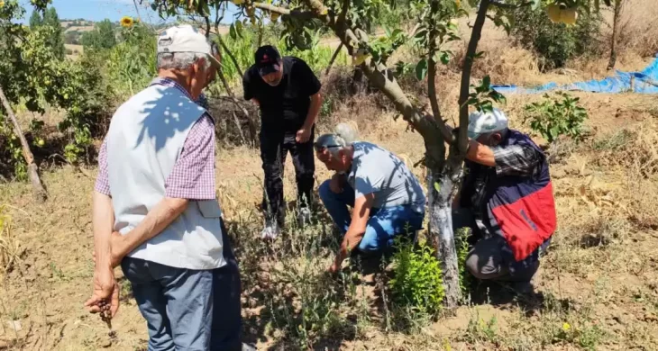 Balıkesir’de tarla faresine karşı uyarı