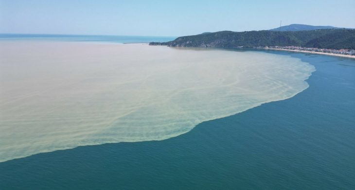 Sakarya sahillerine kırmızı bayrak çekilecek