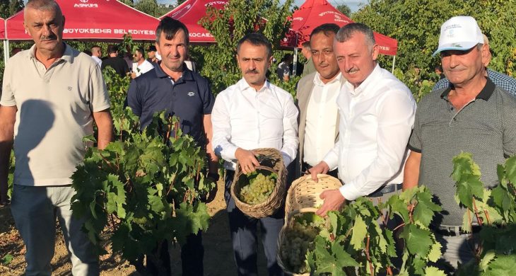 Başkan Büyükakın, İzmit’te üzüm hasadına katıldı