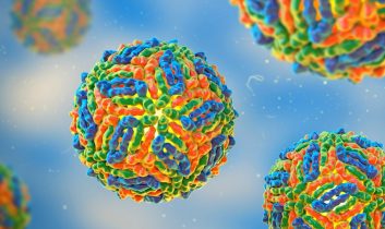 İtalya’da Batı Nil Virüsü vaka sayısı artışta