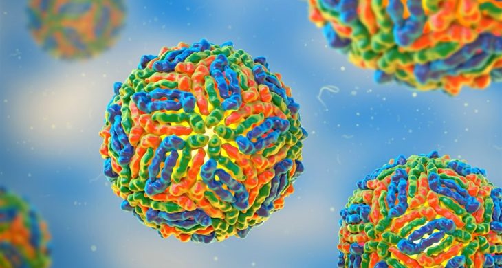 İtalya’da Batı Nil Virüsü vaka sayısı artışta