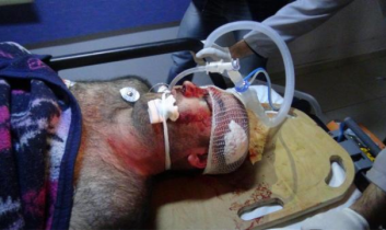 İntihar Notu Bırakıp Kendini Vurdu