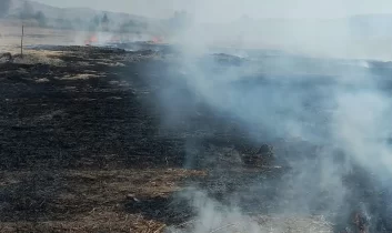 Beypazarı’nda Anız Yangını