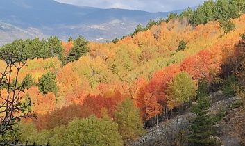 Beypazarı yaylalarında renk cümbüşü yaşanıyor