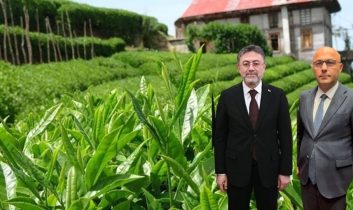 Bakan Yumaklı, BHA’ya konuştu;  Çay hasadı….