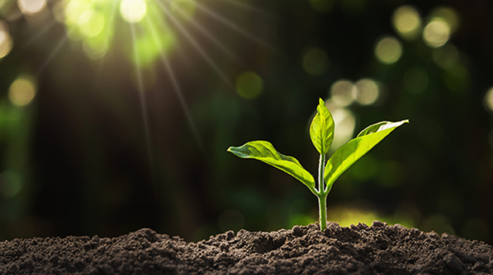 Bitki koruma ürünlerinde satış ve kullanım elektronik takibe alınıyor