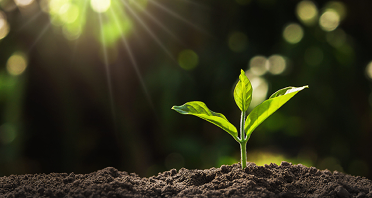 Bitki koruma ürünlerinde satış ve kullanım elektronik takibe alınıyor