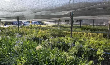 Bornova’ya 7 dönümlük cennet bahçesi